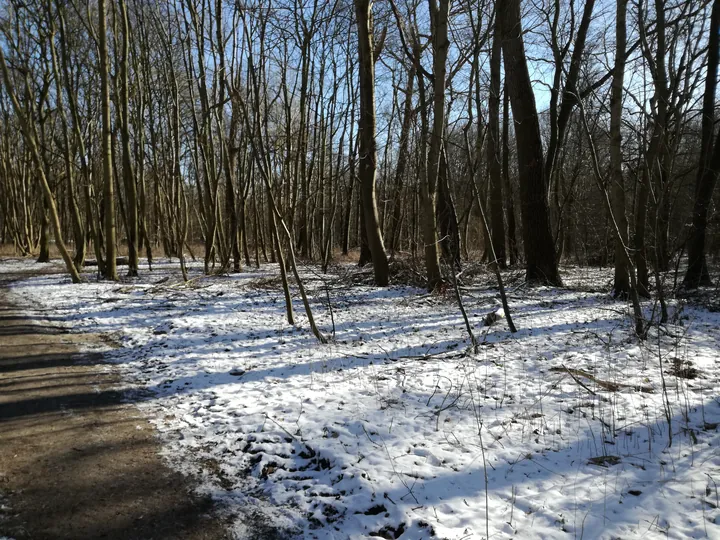 De Panne in de sneeuw (België)